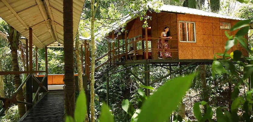 Coffee- County Resort in Wayanad