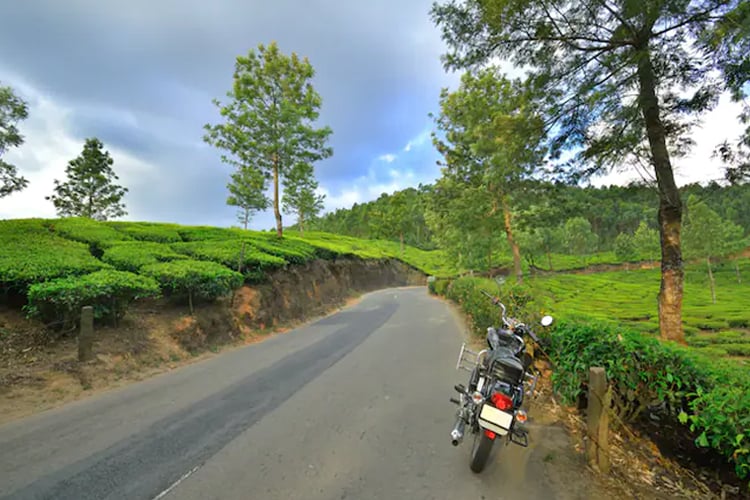 travel-tips-ooty-vs-munnar