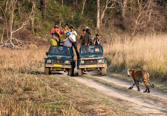jim corbett in december