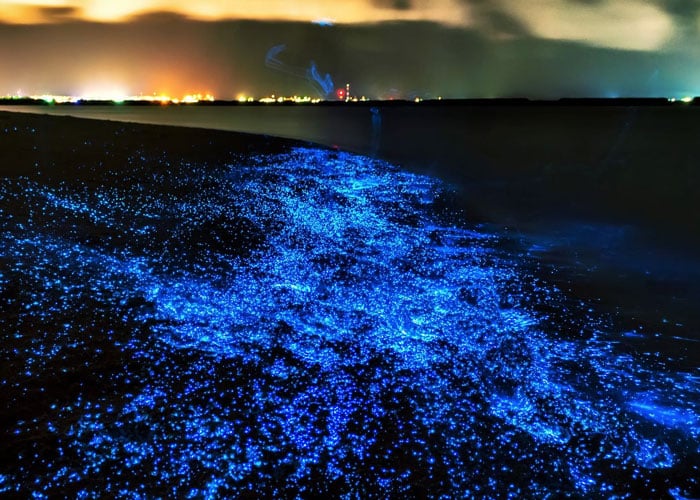 Vadhoo Island maldives