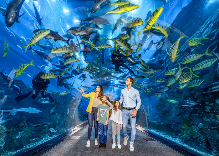 Dubai Aquarium & Underwater Zoo