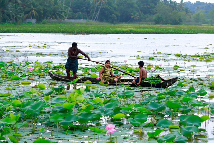 Vellayani-Lake