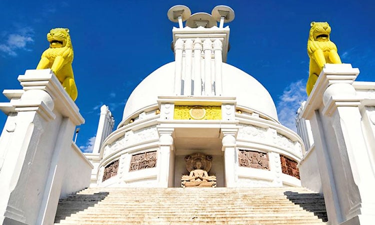 Dhauli-Shanti-Stoop