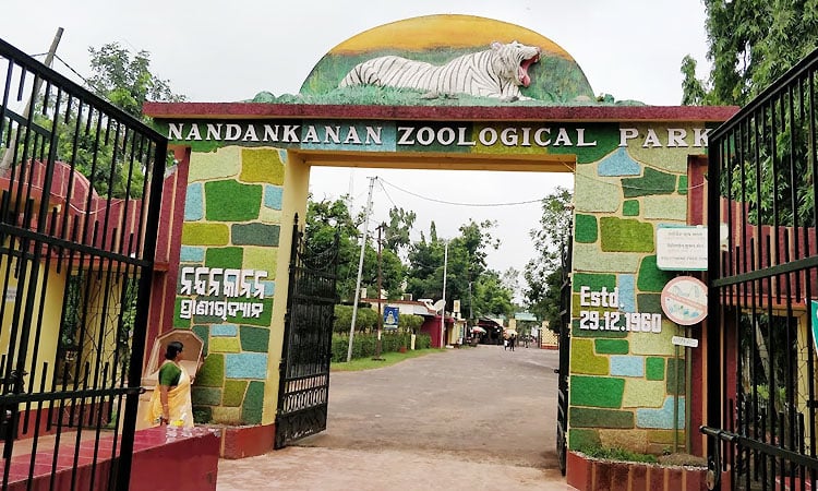 Nandankanan-Zoological-Park
