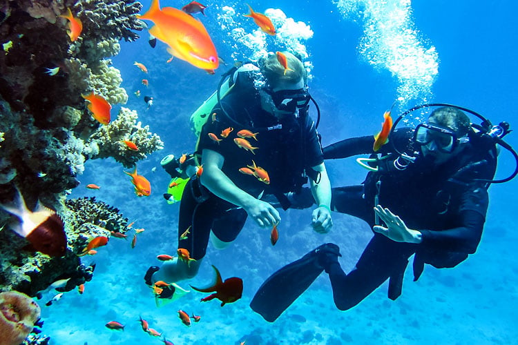Scuba-diving