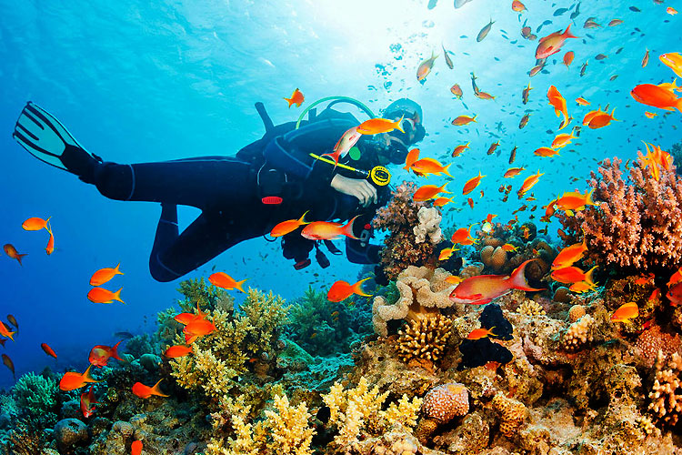 snorkeling-in-Andaman