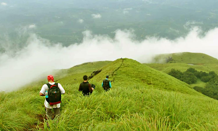 yelagiri-hills