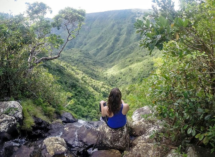 Black River Gorges National Park in Mauritius