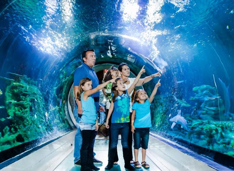 Mauritius Aquarium
