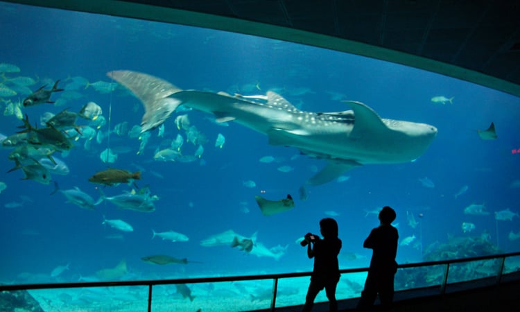 Samudrika-Marine-Museum