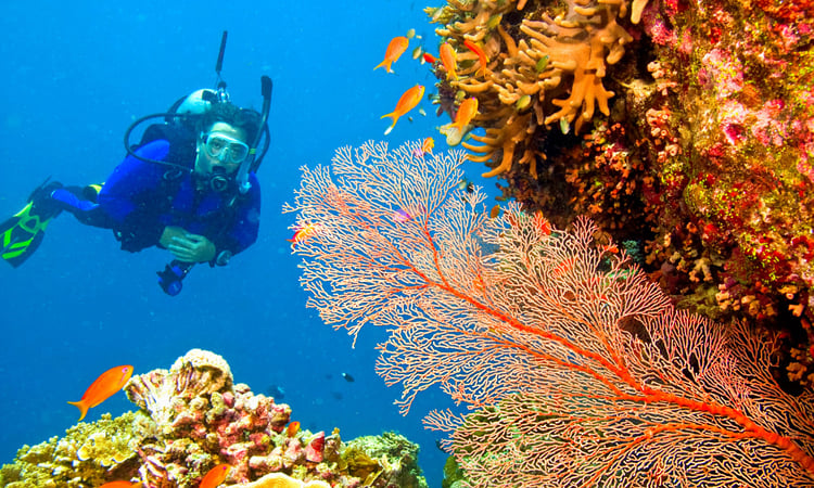 Scuba-diving-at-Corbyn-Cove-Beach