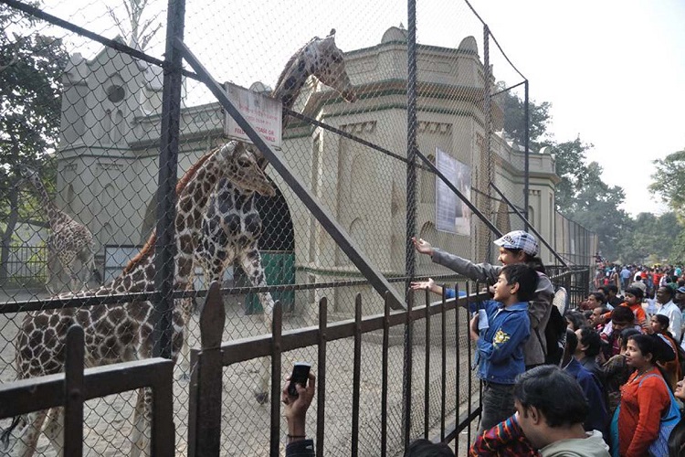 Zoological Garden, Kolkata
