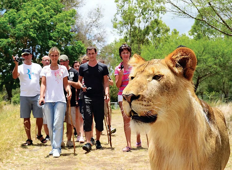 Casela Nature Park in Mauritius