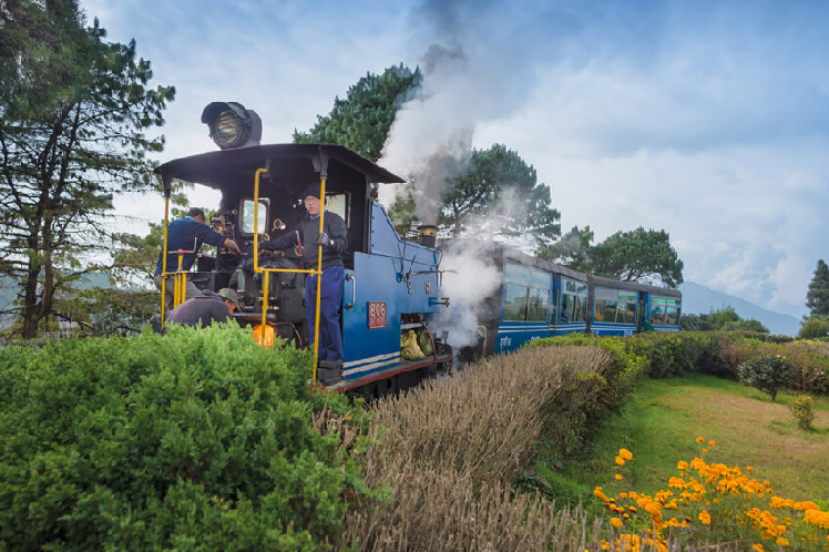 toy train darjeeling