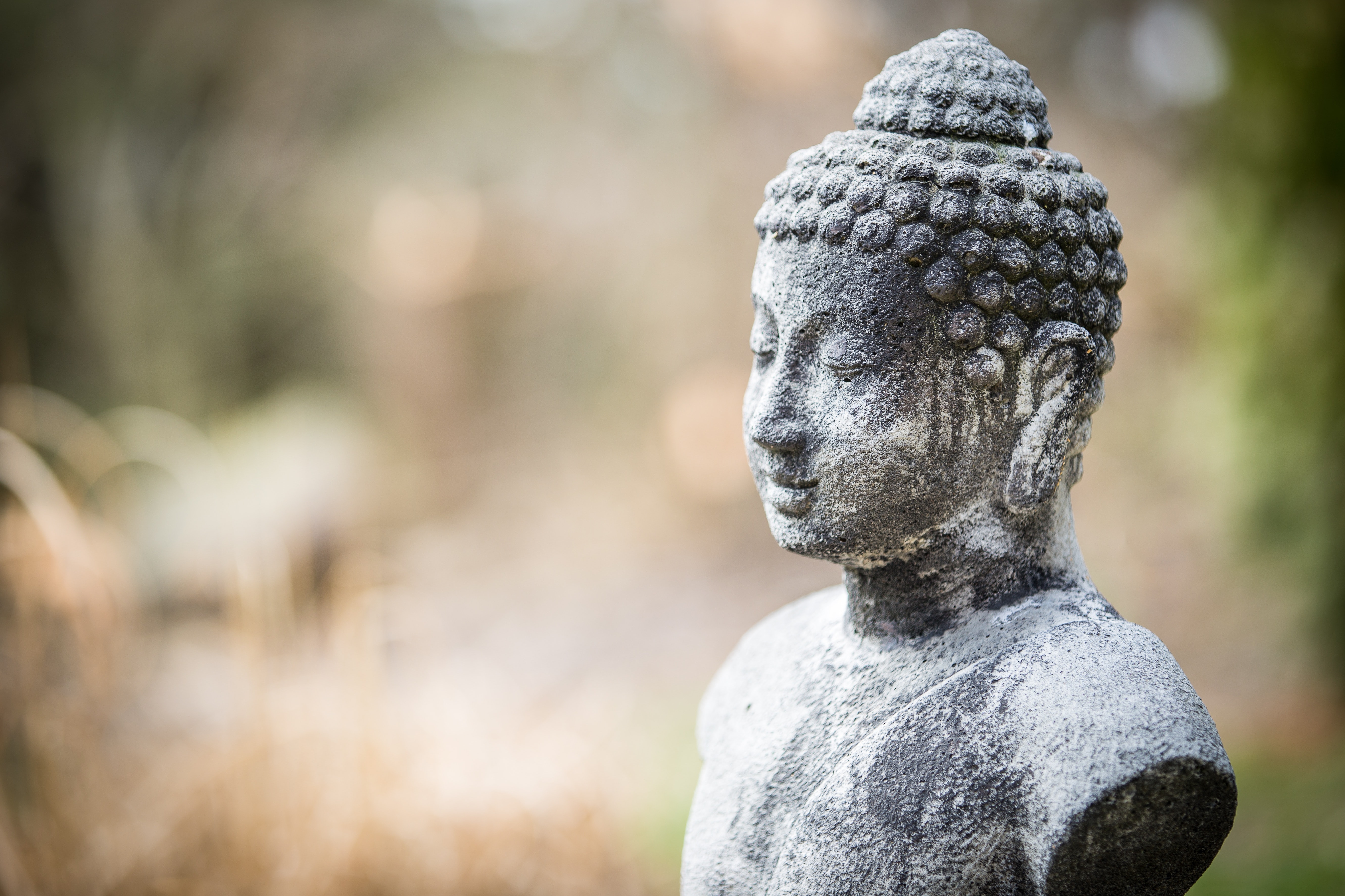 Buddhism in Mauritius