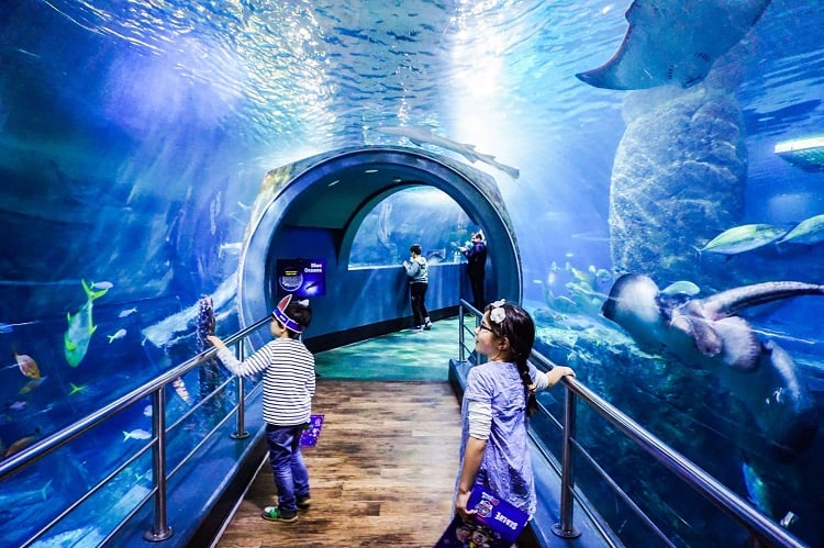 Sea Life Melbourne Aquarium 