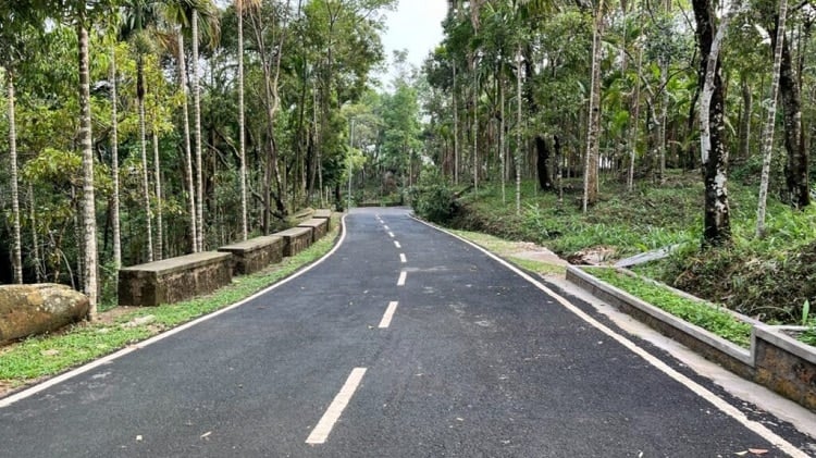 Trees are the Heart and Soul of Mawlynnong 
