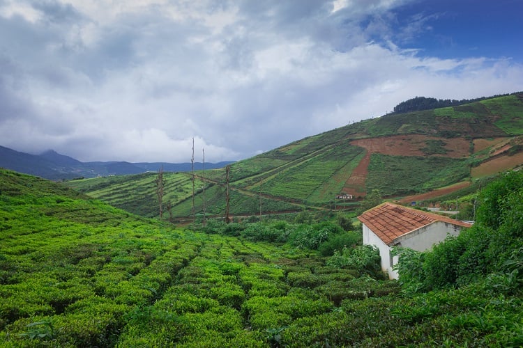  Sustainable Tourism in Coorg