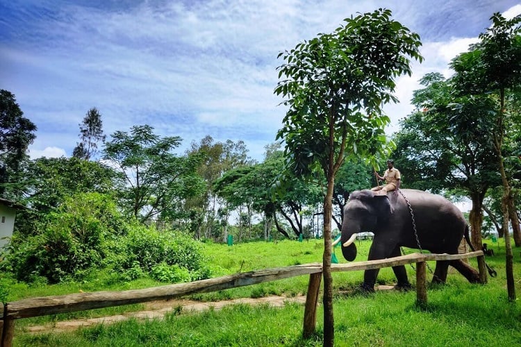 Initiatives by Environment-Conscious Travelers