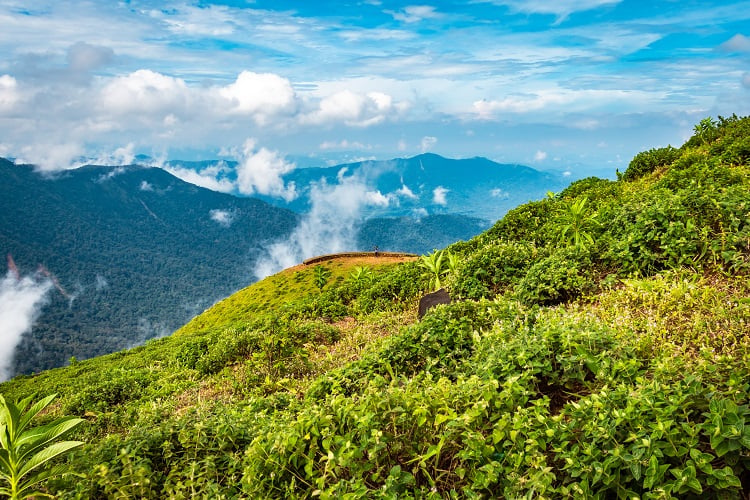 Rainforest Retreat Combines Eco-tourism With Sustainable Agriculture And Environmental Education