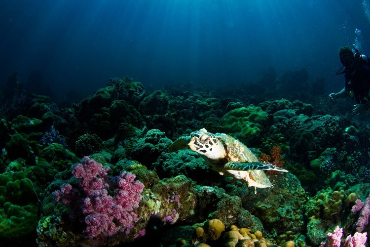Koh Lipe Thailand