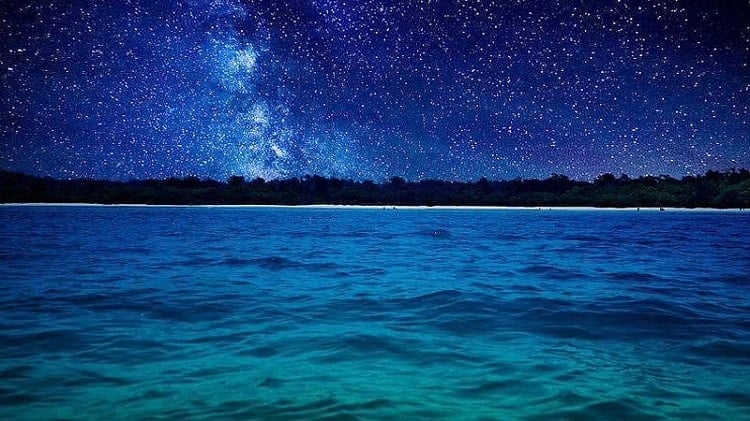 neil island andaman