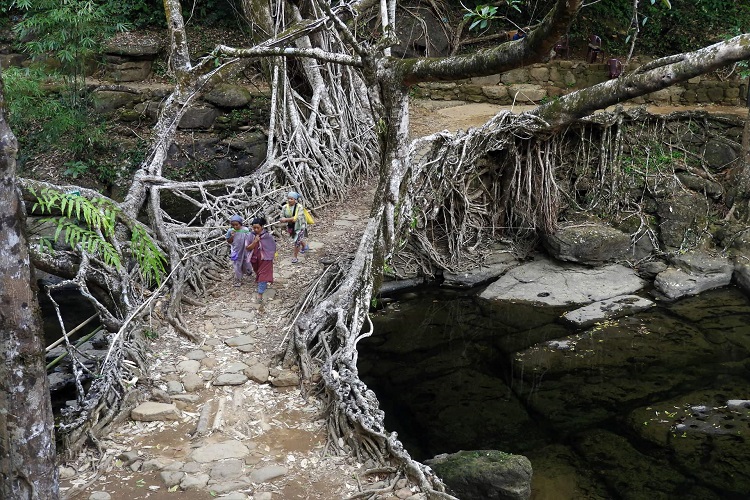 Mawlynnong-Village-Trekking