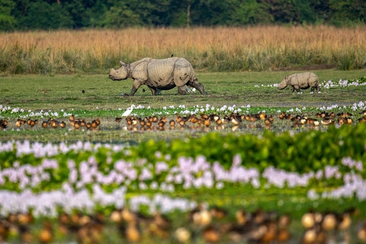 ome-across-the-wilderness-of-the-Sanctuary