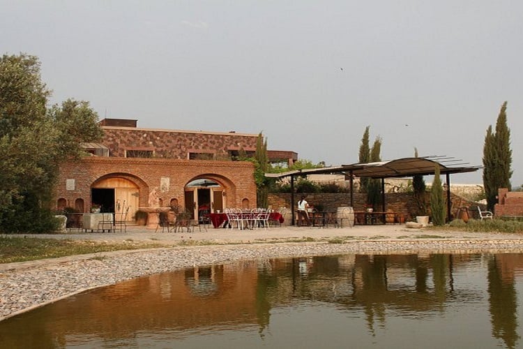 Karnas Vineyards