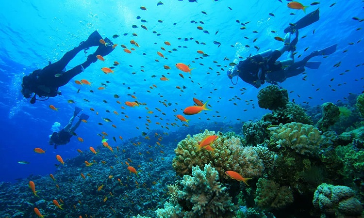 nha-trang-scuba-diving