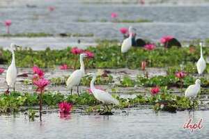 Best of Gujarat