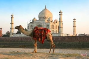 Delhi Agra Bharatpur Tour