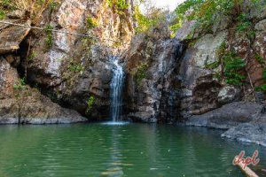 Orissa Wildlife Tour