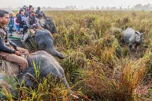Gujarat Wildlife Tour