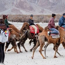 Discover-Ladakh-Tour