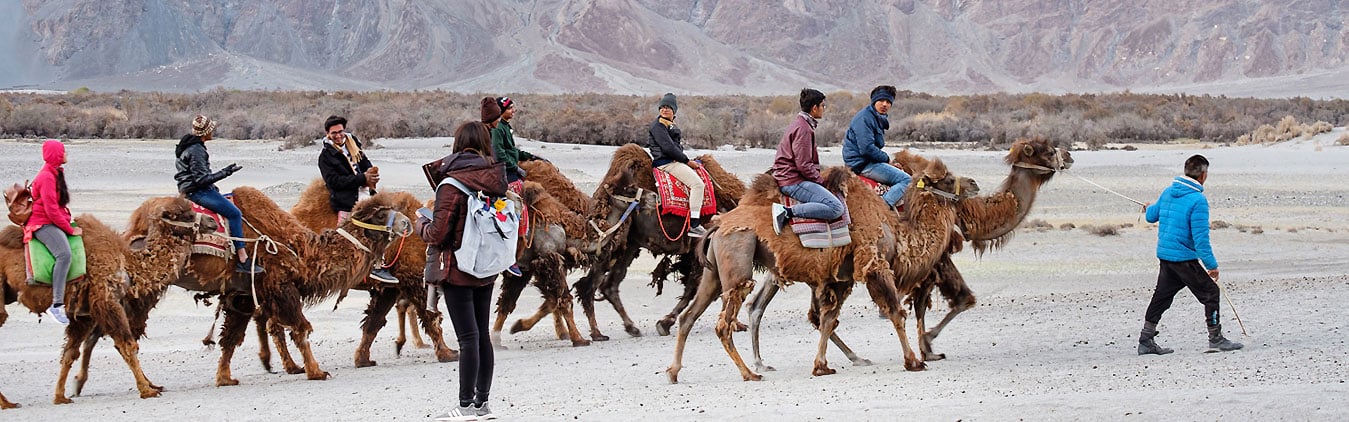 Discover Ladakh Tour