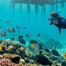 Lakshadweep-Tour