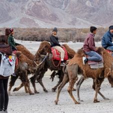 Wonders-of-Ladakh