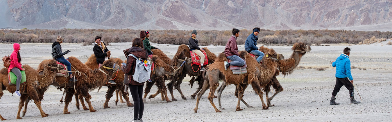 Wonders of Ladakh