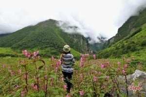 Valley of Flowers Trek From Delhi