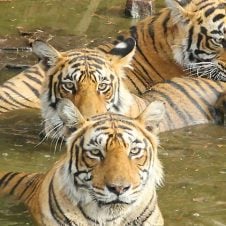 10-Days-Kerala-Tour-Package