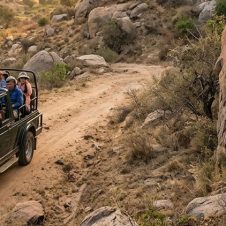 3-Days-Leopard-safari-tour-in-Bera