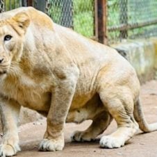 3-Days-Tour-to-Silvassa