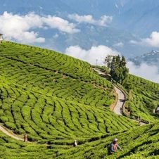 6-Days-Darjeeling-Gangtok-Tour