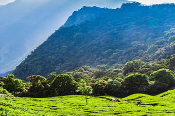 6 Days Kerala Vacation Package