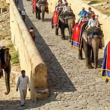 7-Days-Delhi-Agra-Jaipur-Tour