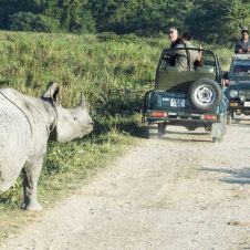Assam-Meghalaya-Wildlife-Tour