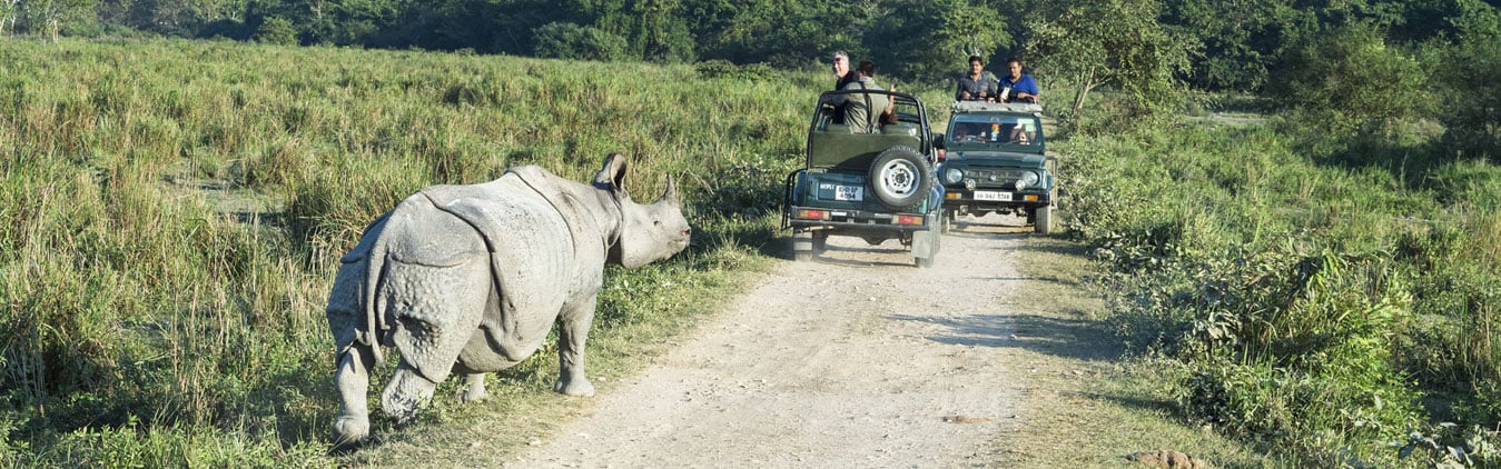 Assam Meghalaya Wildlife Tour