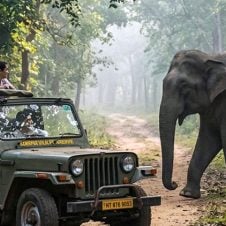 Bangalore-Mysore-Bandipur-Tour