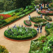 Bangalore-Mysore-Ooty-Tour-Package